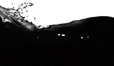 SeaMate Fe® in liquid concentrate.